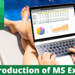 Introduction to MS Excel?
